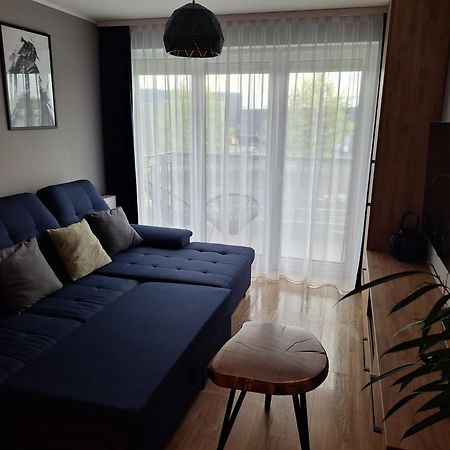 Komfortowy Apartament Dla 7 Osob Ch Arena, Prywatny Parking Gliwice Eksteriør billede
